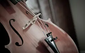 Violoncelle