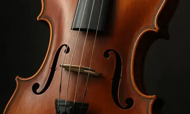 Violon