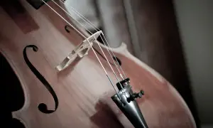 Violoncelle